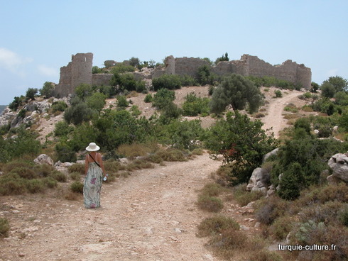 Tokmar kalesi