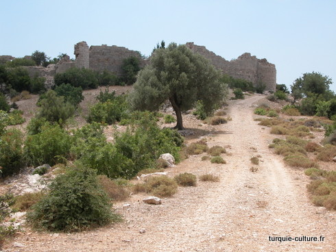 Tokmar kalesi