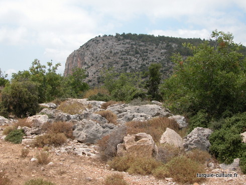 Tokmar kalesi