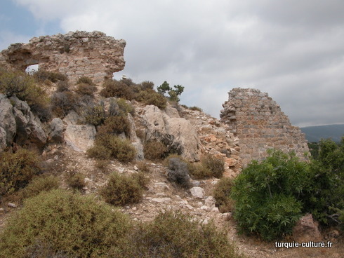 Tokmar kalesi