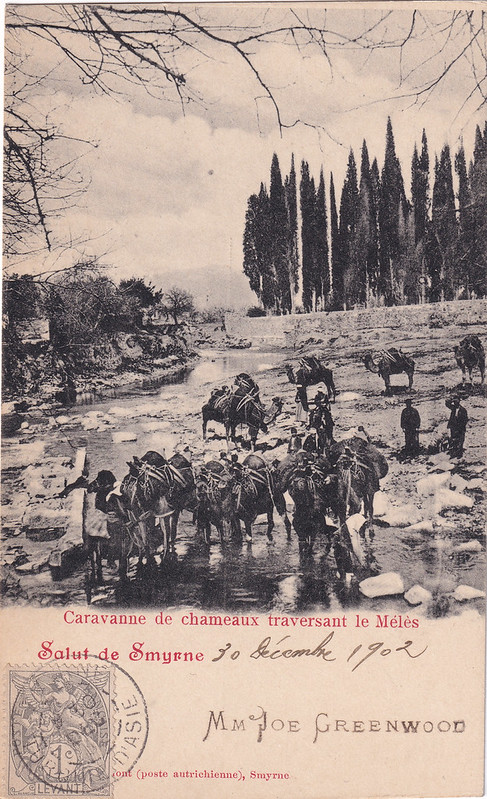 Izmir, chameaux traversant le Meles