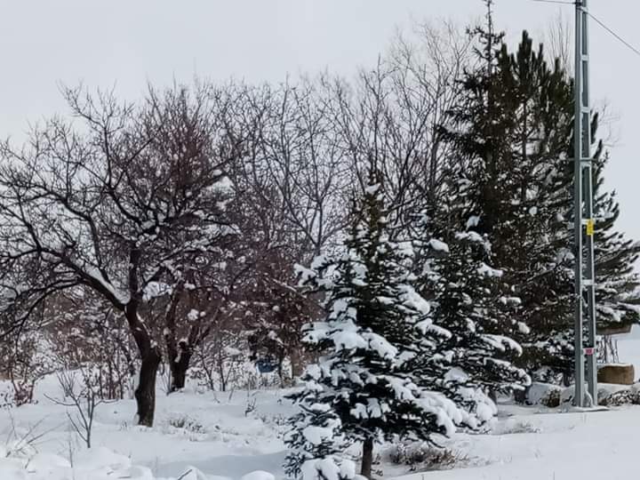 Karaozu sous la neige