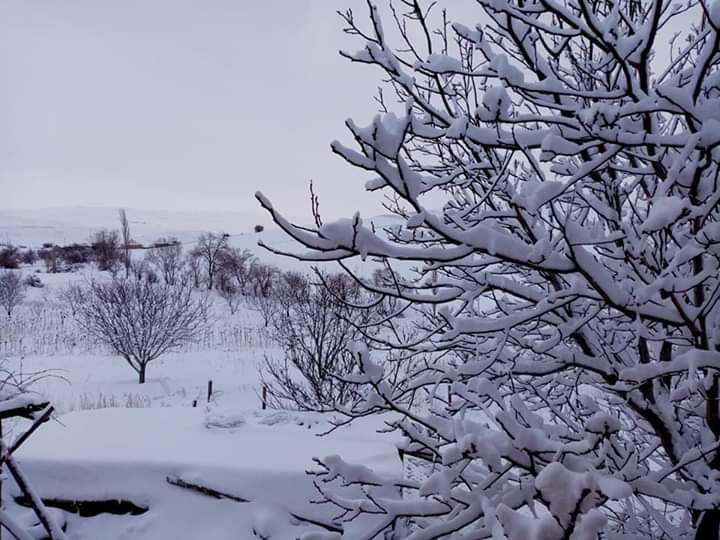 Karaozu sous la neige