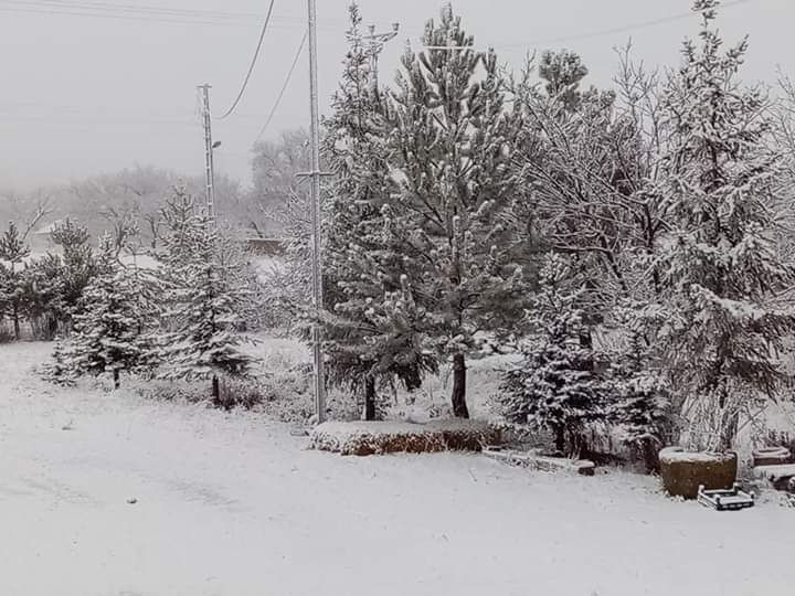 Karaozu sous la neige