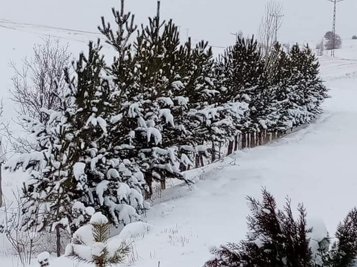 Karaozu sous la neige
