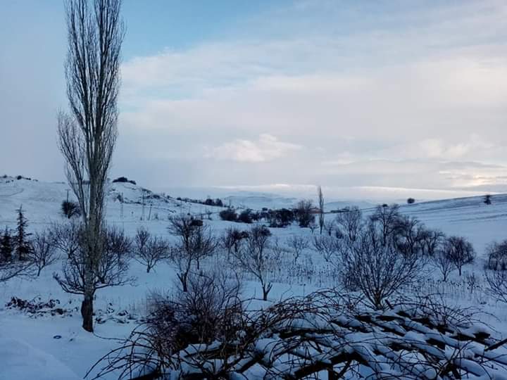 Karaozu sous la neige