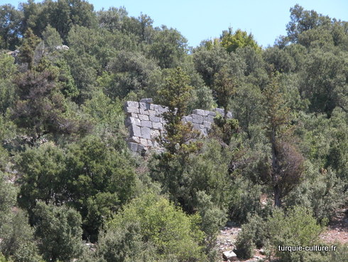 Pan de mur au milieu du maquis