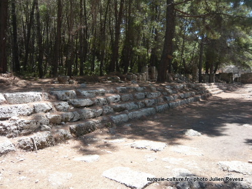 Phaselis