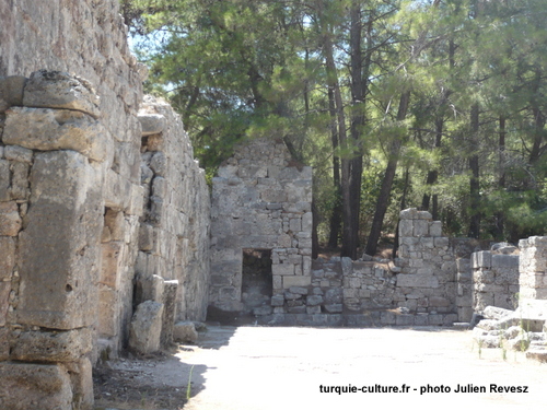 Phaselis