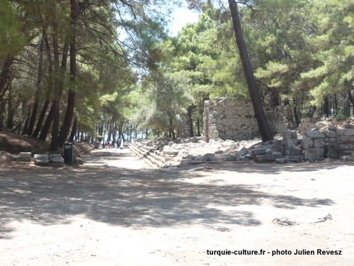 Phaselis