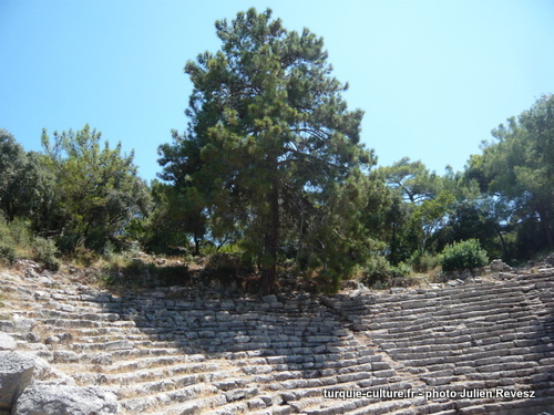 Phaselis