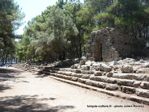 Phaselis